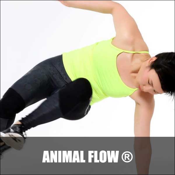 Animal Flow Pop In Class - Total Wellbeing